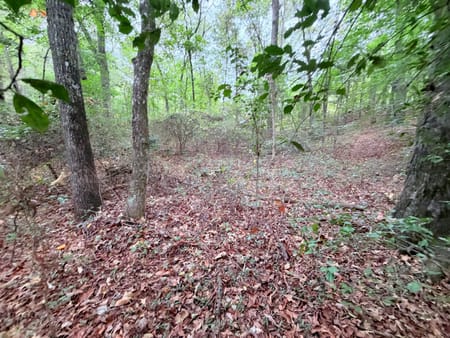 Royston, GA 30662 Franklin County