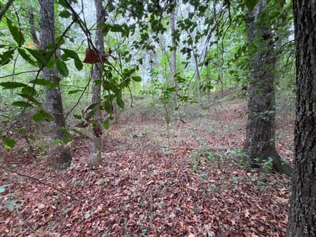 Royston, GA 30662 Franklin County