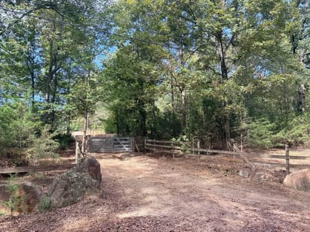 Williamson, GA 30292 Spalding County