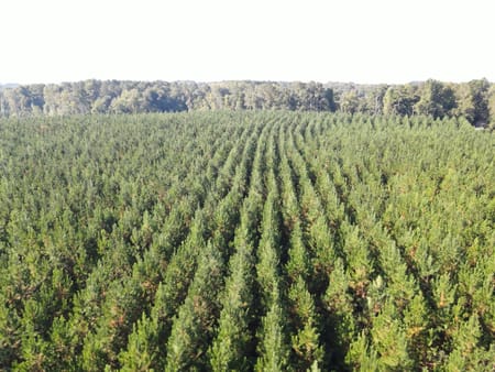 Eatonton, GA 31024 Putnam County