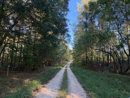 Rayle, GA 30660 Wilkes County