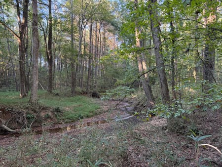 Rayle, GA 30660 Wilkes County