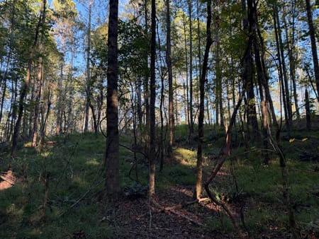 Rayle, GA 30660 Wilkes County