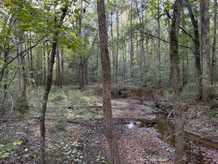 Rayle, GA 30660 Wilkes County