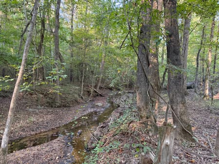 Rayle, GA 30660 Wilkes County
