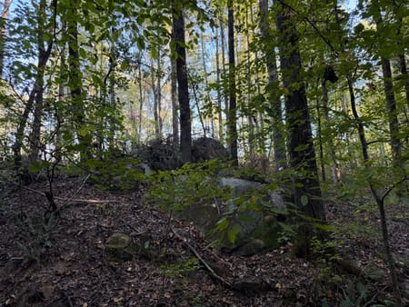 Rayle, GA 30660 Wilkes County