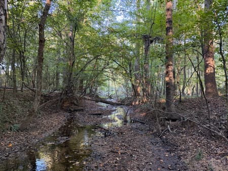 Rayle, GA 30660 Wilkes County