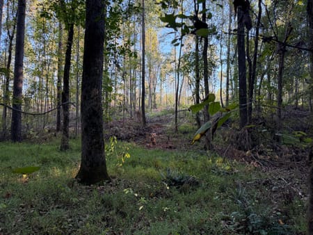 Rayle, GA 30660 Wilkes County