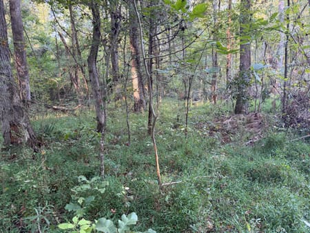 Rayle, GA 30660 Wilkes County