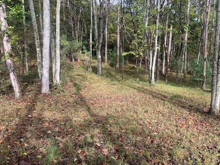 Blairsville, GA 30512 Union County
