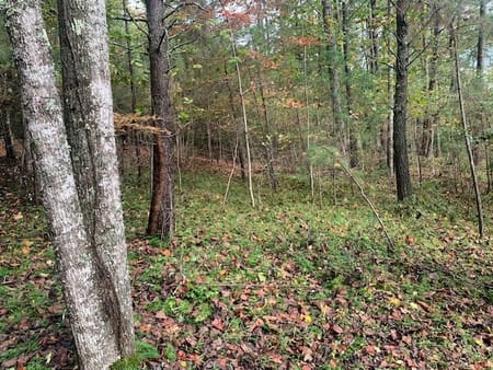Blairsville, GA 30512 Union County