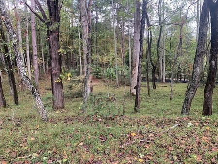 Blairsville, GA 30512 Union County