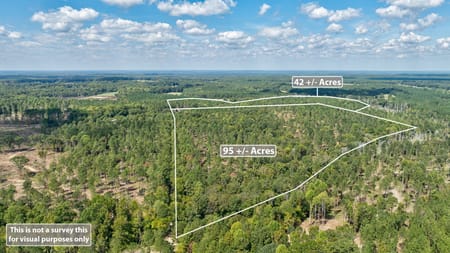 Rayle, GA 30660 Wilkes County