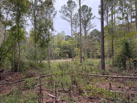 Rayle, GA 30660 Wilkes County