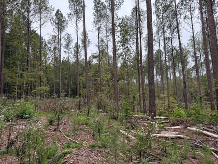 Rayle, GA 30660 Wilkes County