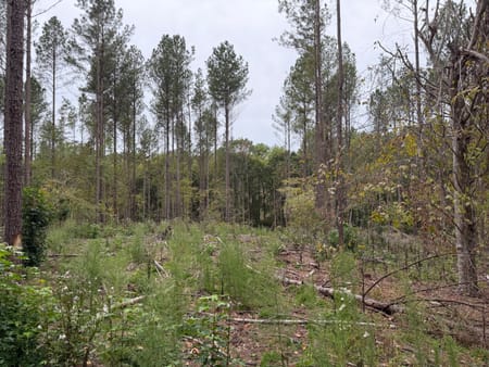 Rayle, GA 30660 Wilkes County