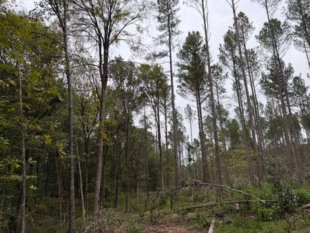 Rayle, GA 30660 Wilkes County