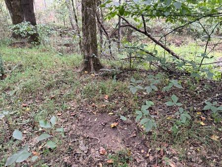 Rayle, GA 30660 Wilkes County