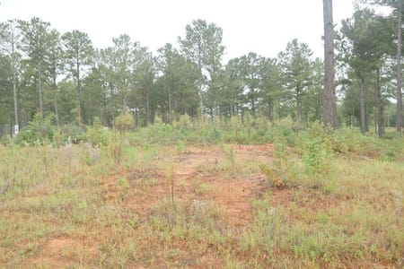 Milledgeville, GA 31061 Baldwin County