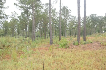 Milledgeville, GA 31061 Baldwin County