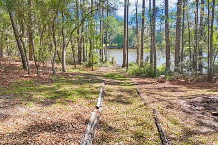 Swainsboro, GA 30401 Emanuel County