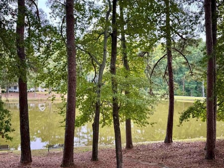 Greensboro, GA 30642 Greene County