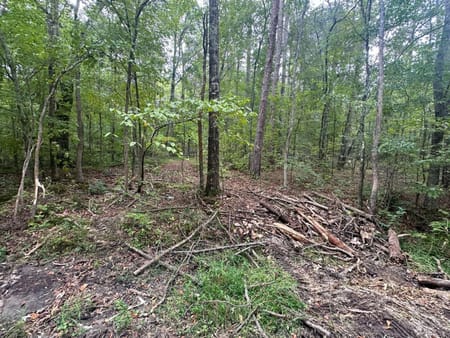 Dallas, GA 30157 Paulding County