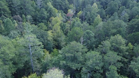Dallas, GA 30157 Paulding County