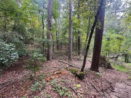 Dallas, GA 30157 Paulding County