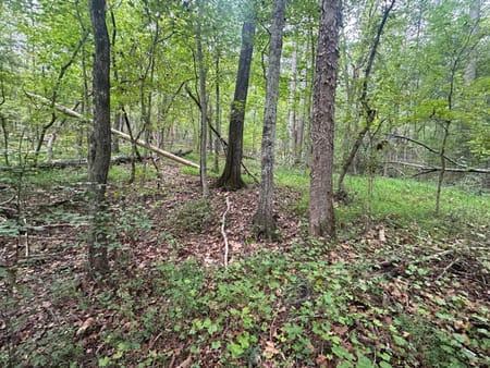 Dallas, GA 30157 Paulding County