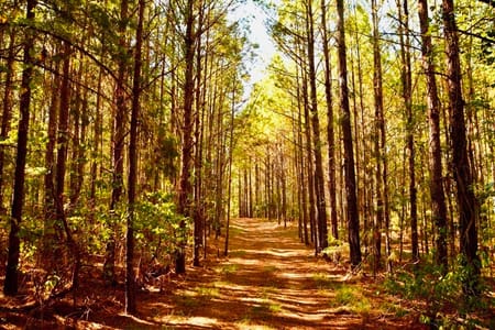 Lincolnton, GA 30817 Lincoln County