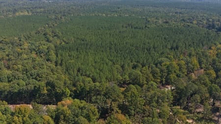 Lincolnton, GA 30817 Lincoln County