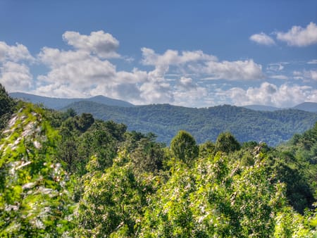 Blue Ridge, GA 30513 Fannin County