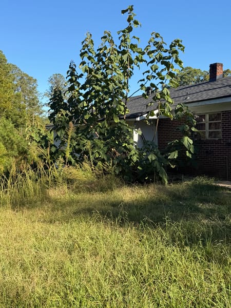 Lincolnton, GA 30817 Lincoln County
