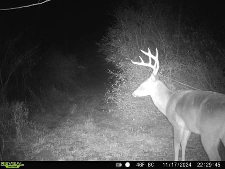 Madison, GA 30650 Morgan County