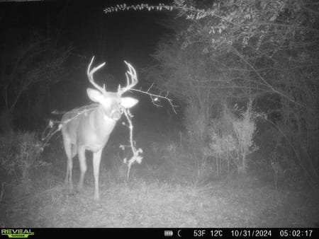 Madison, GA 30650 Morgan County