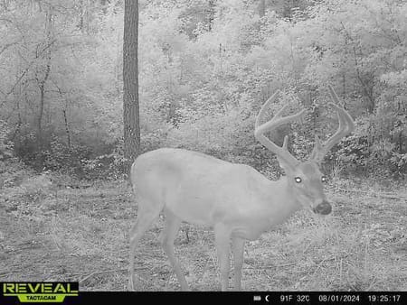 Madison, GA 30650 Morgan County