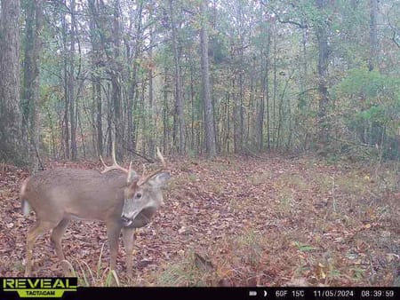 Madison, GA 30650 Morgan County