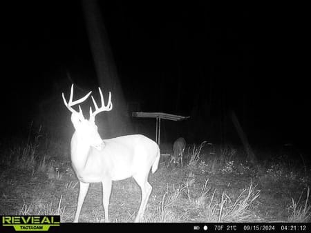 Madison, GA 30650 Morgan County