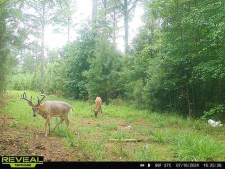 Madison, GA 30650 Morgan County