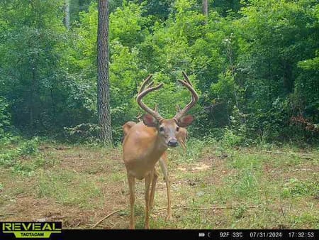 Madison, GA 30650 Morgan County
