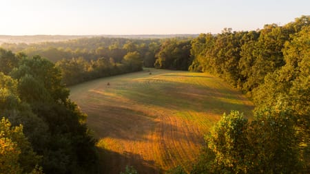 Mount Airy, GA 30563 Habersham County