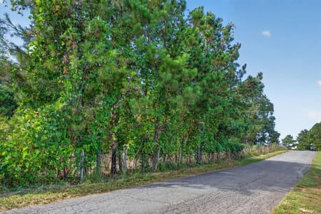 Ball Ground, GA 30107 Cherokee County