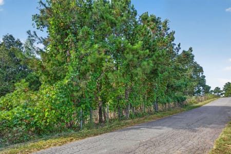 Ball Ground, GA 30107 Cherokee County