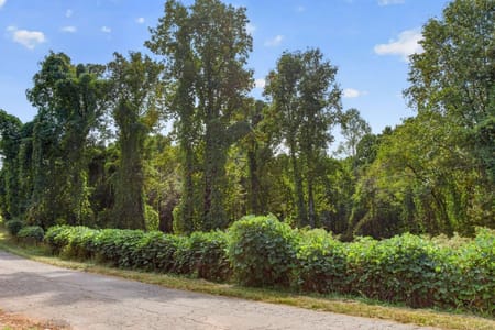 Ball Ground, GA 30107 Cherokee County