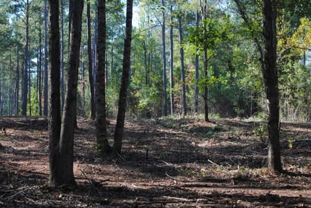 West Point, GA 31833 Troup County