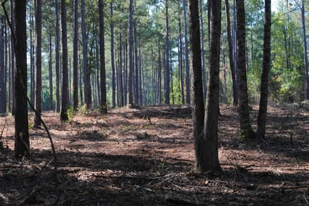 West Point, GA 31833 Troup County