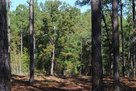 West Point, GA 31833 Troup County