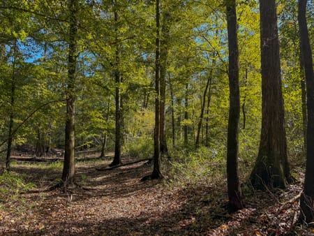 Louisville, GA 30434 Jefferson County