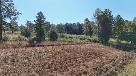 Cleveland, GA 30528 White County